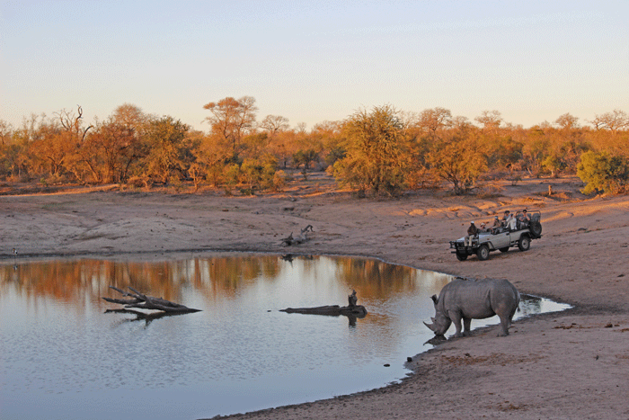 kruger-national-park-5-star-stories