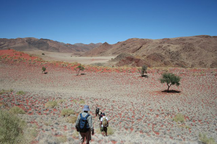 namib-walk