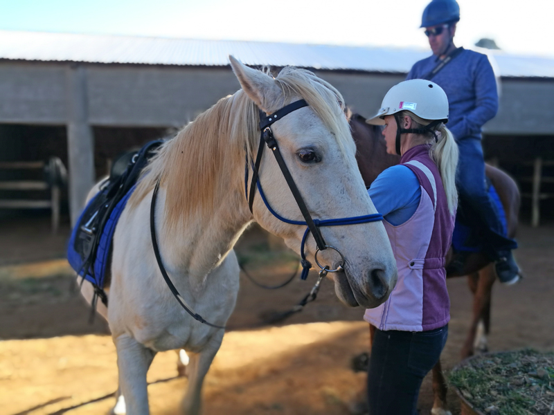 dragons-landing-horseride-5-star-stories