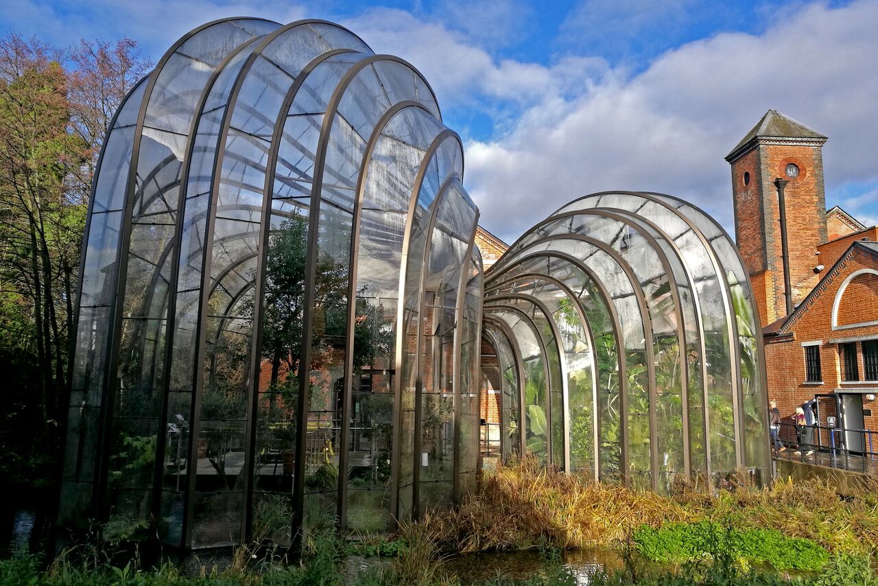 5-star-stories-bombay-gin-distillery