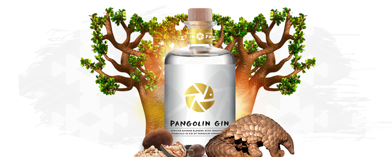 Pangolin-Gin