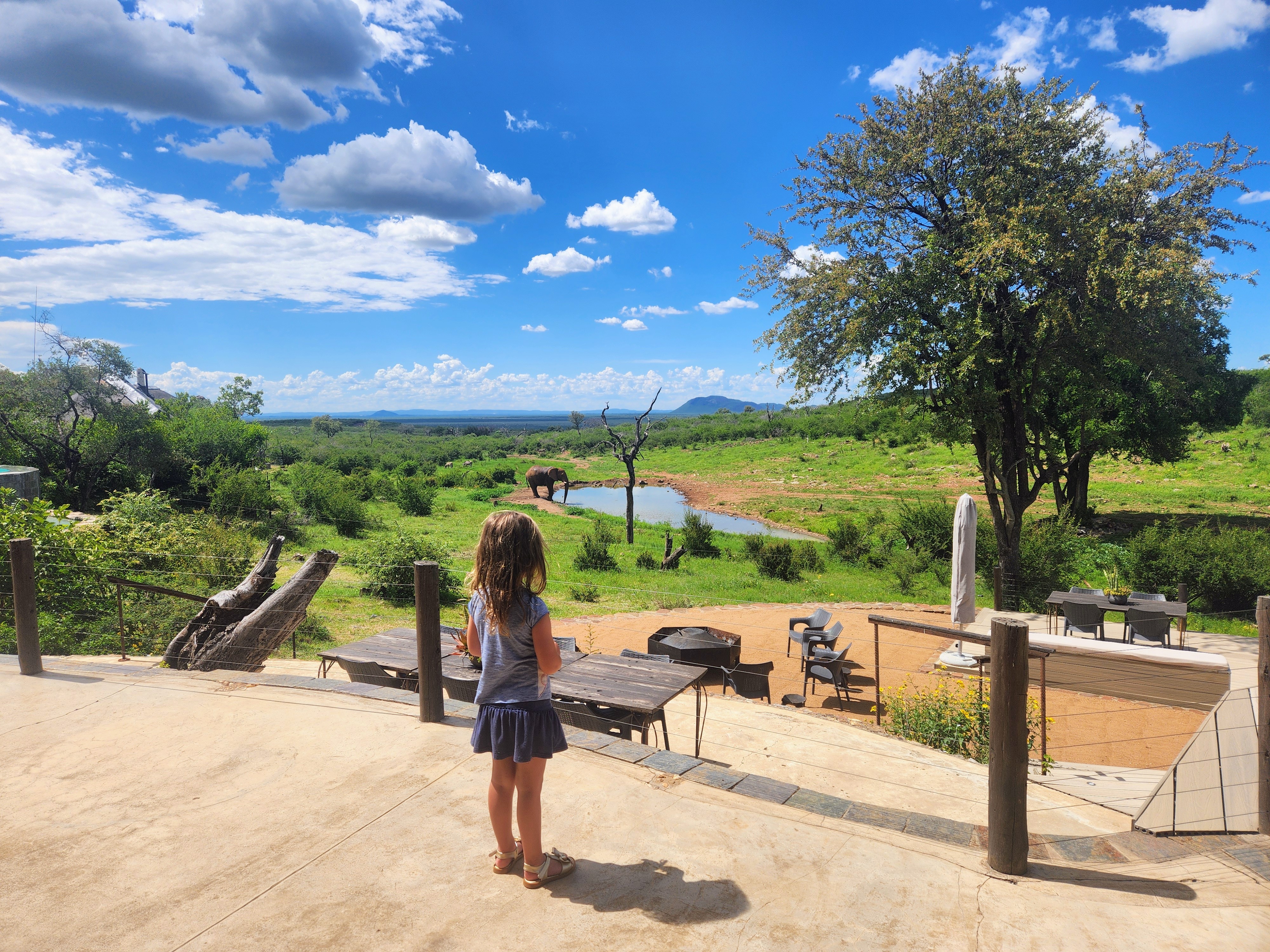 royal-madikwe